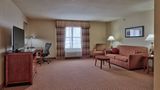 <b>Hilton Garden Inn Las Cruces Room</b>. Images powered by <a href="https://iceportal.shijigroup.com/" title="IcePortal" target="_blank">IcePortal</a>.