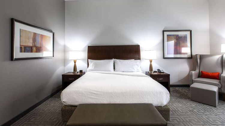 Hilton Garden Inn Lynchburg Room