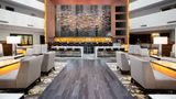 Hilton McLean Tysons Corner Lobby