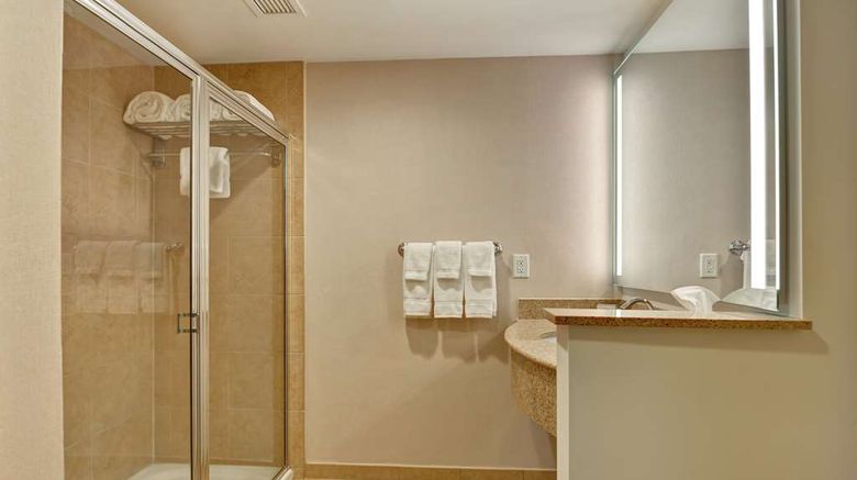 <b>Hilton Garden Inn Lake Buena Vista Room</b>. Images powered by <a href="https://iceportal.shijigroup.com/" title="IcePortal" target="_blank">IcePortal</a>.