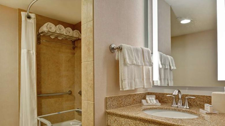 <b>Hilton Garden Inn Lake Buena Vista Room</b>. Images powered by <a href="https://iceportal.shijigroup.com/" title="IcePortal" target="_blank">IcePortal</a>.