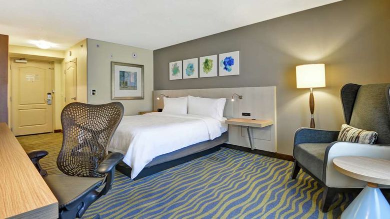 <b>Hilton Garden Inn Lake Buena Vista Room</b>. Images powered by <a href="https://iceportal.shijigroup.com/" title="IcePortal" target="_blank">IcePortal</a>.