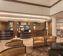 Embassy Suites Intl Drive ICON Park Lobby