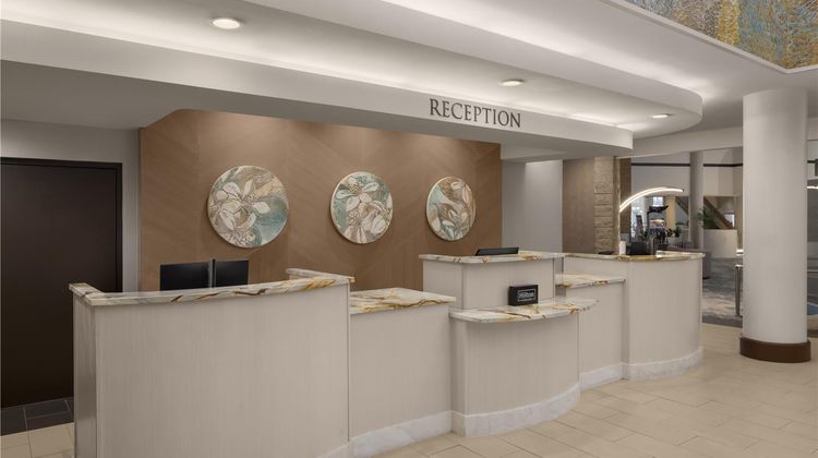 Embassy Suites Intl Drive ICON Park Lobby