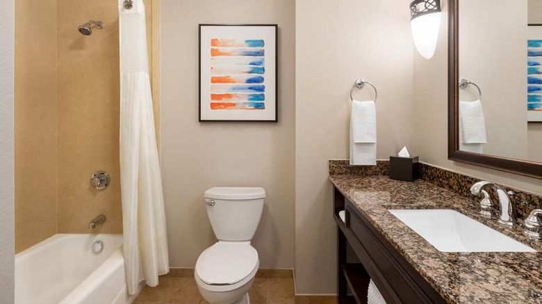 <b>Embassy Suites by Hilton Orlando LBV Sou Room</b>. Images powered by <a href="https://iceportal.shijigroup.com/" title="IcePortal" target="_blank">IcePortal</a>.