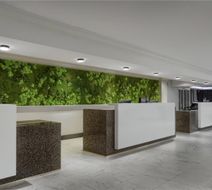 Doubletree by Hilton-Universal Entrance Lobby