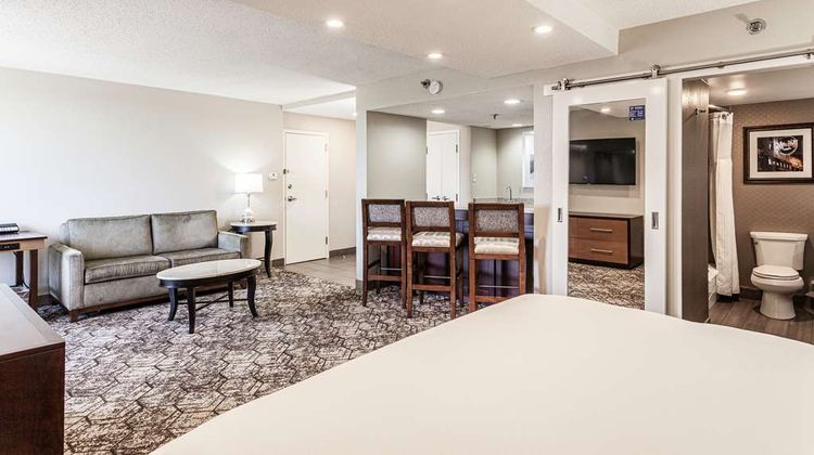 DoubleTree by Hilton Hotel Memphis Other