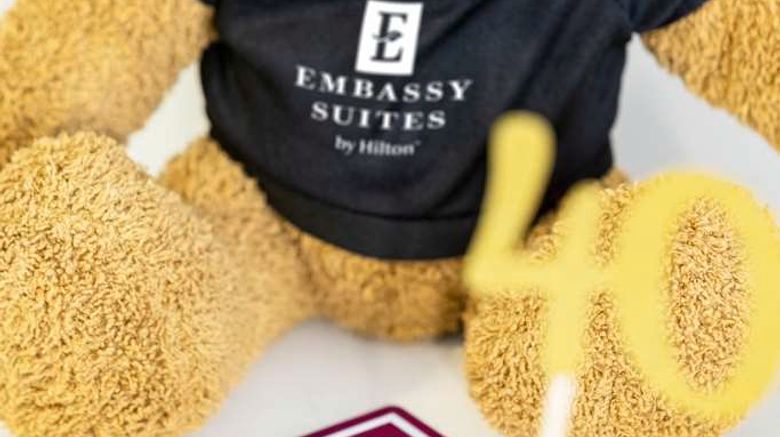 <b>Embassy Suites Hotel Other</b>. Images powered by <a href="https://iceportal.shijigroup.com/" title="IcePortal" target="_blank">IcePortal</a>.