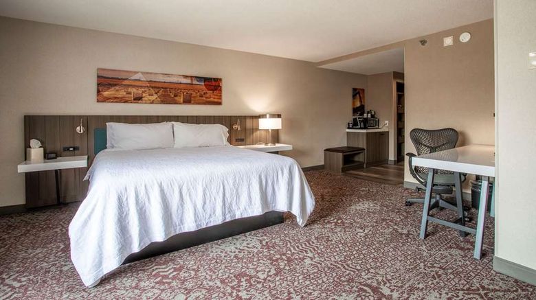 <b>Hilton Garden Inn Mankato Downtown Room</b>. Images powered by <a href="https://iceportal.shijigroup.com/" title="IcePortal" target="_blank">IcePortal</a>.