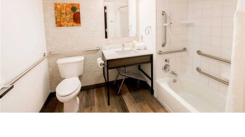 <b>Hilton Garden Inn Mankato Downtown Room</b>. Images powered by <a href="https://iceportal.shijigroup.com/" title="IcePortal" target="_blank">IcePortal</a>.