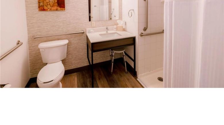 <b>Hilton Garden Inn Mankato Downtown Room</b>. Images powered by <a href="https://iceportal.shijigroup.com/" title="IcePortal" target="_blank">IcePortal</a>.
