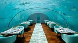<b>Conrad Maldives Rangali Island Restaurant</b>. Images powered by <a href=https://www.travelagewest.com/Hotels/Ari-Atoll-Maldives/