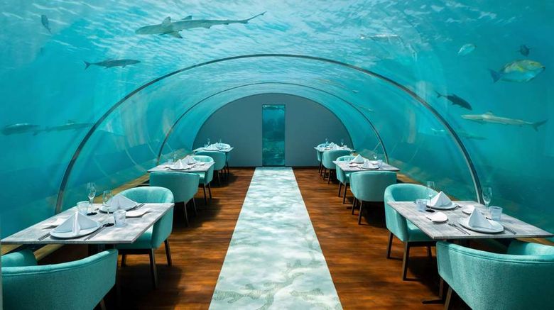 <b>Conrad Maldives Rangali Island Restaurant</b>. Images powered by <a href=https://www.travelagewest.com/Hotels/Ari-Atoll-Maldives/