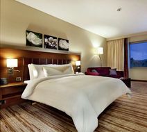 Hilton Garden Inn Mardin Room