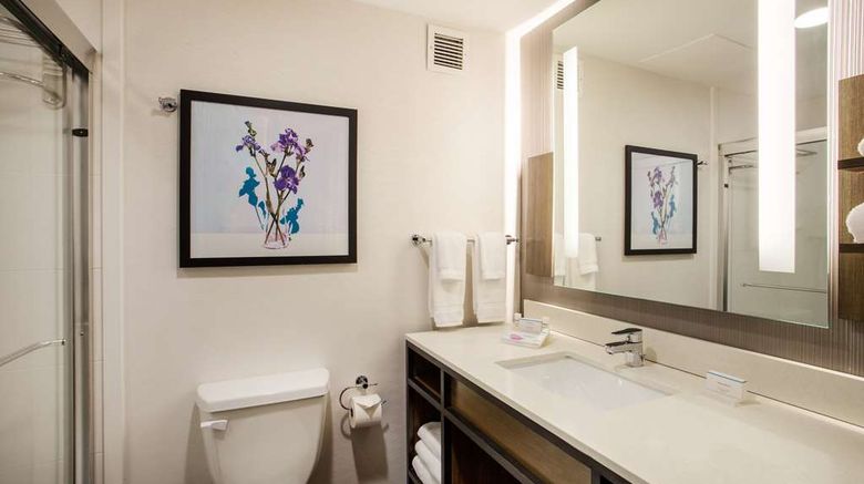 <b>Hilton Garden Inn Nashville/Smyrna Room</b>. Images powered by <a href="https://iceportal.shijigroup.com/" title="IcePortal" target="_blank">IcePortal</a>.