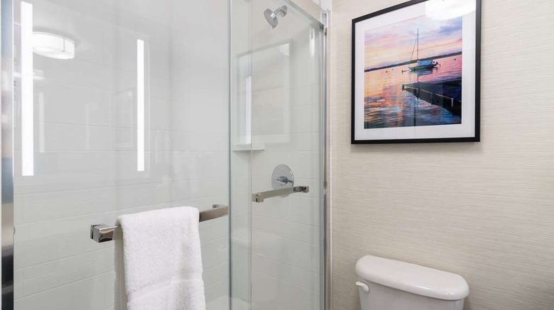 <b>Hilton Garden Inn Madison West/Middleton Room</b>. Images powered by <a href="https://iceportal.shijigroup.com/" title="IcePortal" target="_blank">IcePortal</a>.