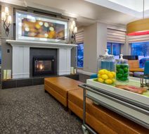 Hilton Garden Inn Maple Grove Lobby