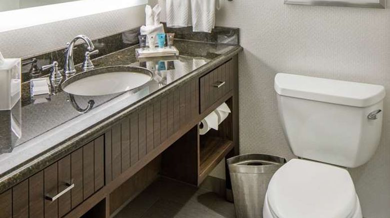 <b>Hilton Minneapolis Room</b>. Images powered by <a href="https://iceportal.shijigroup.com/" title="IcePortal" target="_blank">IcePortal</a>.