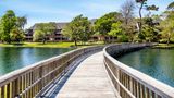 <b>Kingston Plantation Condos Exterior</b>. Images powered by <a href="https://iceportal.shijigroup.com/" title="IcePortal" target="_blank">IcePortal</a>.