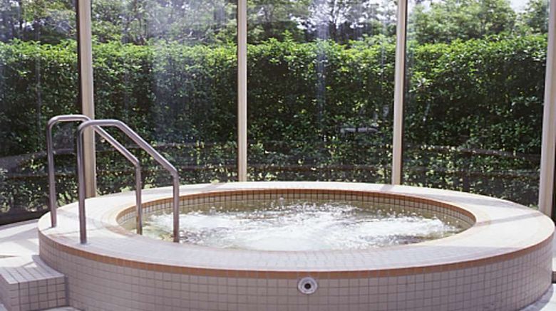 <b>Hilton Tokyo Narita Airport Recreation</b>. Images powered by <a href="https://iceportal.shijigroup.com/" title="IcePortal" target="_blank">IcePortal</a>.