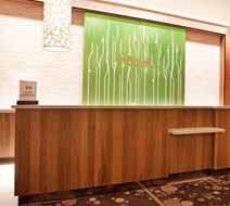 Hilton Garden Inn/Central Park South Lobby
