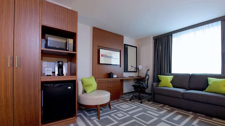 <b>Hilton Garden Inn/Central Park South Other</b>. Images powered by <a href="https://iceportal.shijigroup.com/" title="IcePortal" target="_blank">IcePortal</a>.