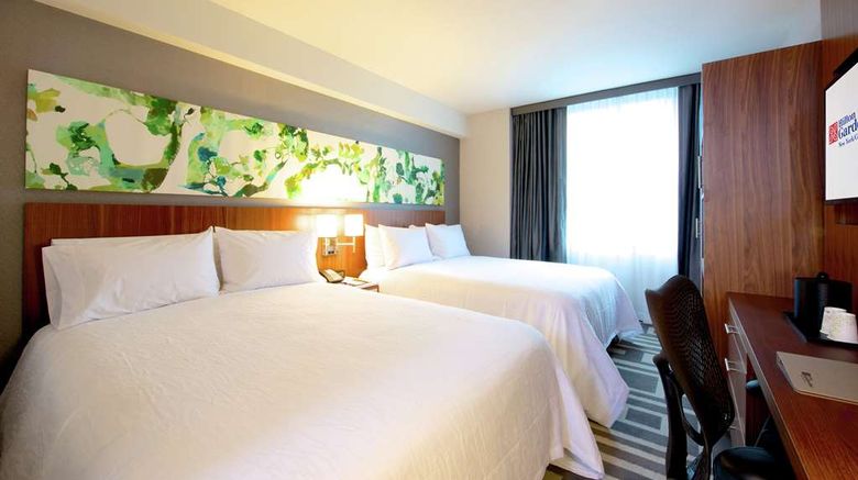 <b>Hilton Garden Inn/Central Park South Other</b>. Images powered by <a href="https://iceportal.shijigroup.com/" title="IcePortal" target="_blank">IcePortal</a>.