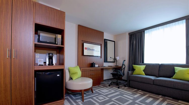 Hilton Garden Inn/Central Park South Other