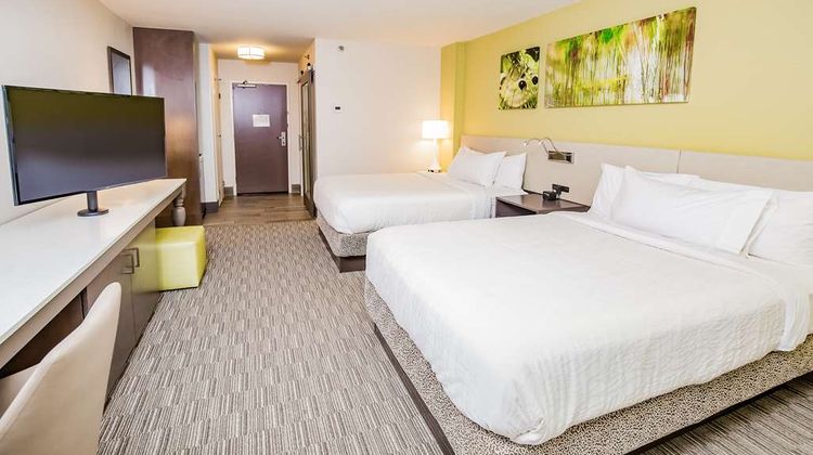 Hilton Garden Inn Orange Beach Other