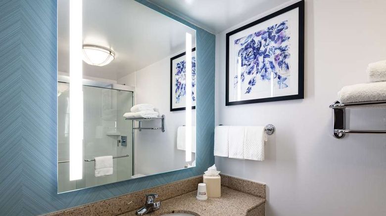 <b>Hilton Garden Inn Chicago O'Hare Airport Room</b>. Images powered by <a href="https://iceportal.shijigroup.com/" title="IcePortal" target="_blank">IcePortal</a>.