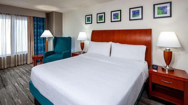 Hilton Garden Inn Chicago O'Hare Airport Room