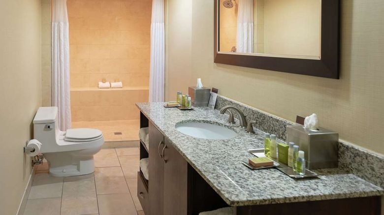 <b>Doubletree by Hilton Norfolk Airport Room</b>. Images powered by <a href="https://iceportal.shijigroup.com/" title="IcePortal" target="_blank">IcePortal</a>.