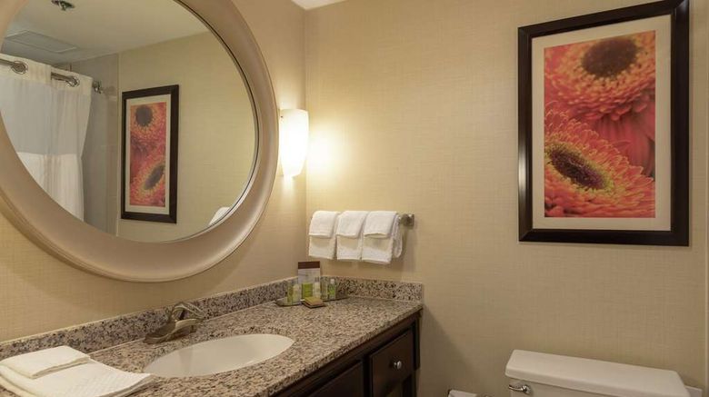 <b>Doubletree by Hilton Norfolk Airport Room</b>. Images powered by <a href="https://iceportal.shijigroup.com/" title="IcePortal" target="_blank">IcePortal</a>.