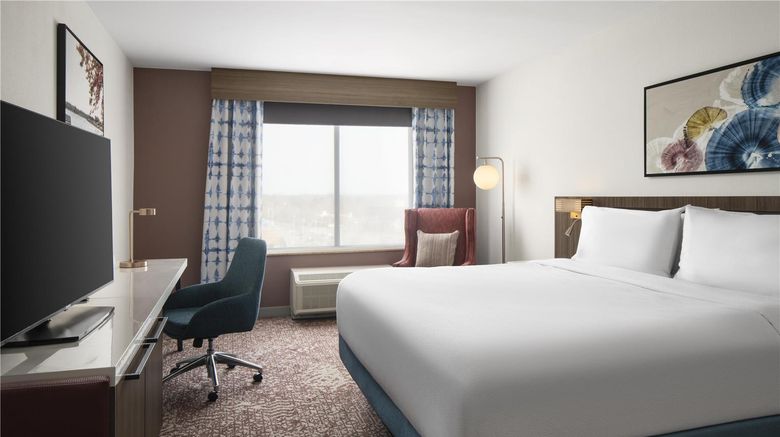 <b>Hilton Garden Inn Virginia Beach Room</b>. Images powered by <a href="https://iceportal.shijigroup.com/" title="IcePortal" target="_blank">IcePortal</a>.