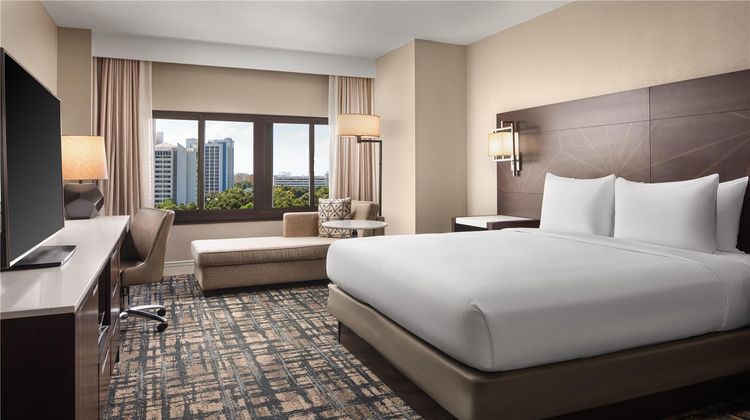 Hilton Orlando Lake Buena Vista Other