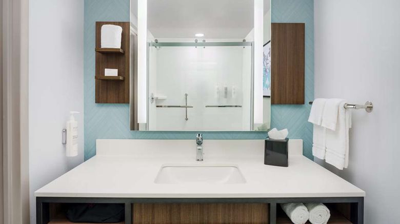 <b>Hilton Garden Inn Orlando N./Lake Mary Room</b>. Images powered by <a href="https://iceportal.shijigroup.com/" title="IcePortal" target="_blank">IcePortal</a>.