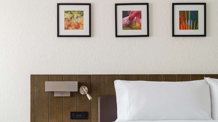 Hilton Garden Inn Orlando N./Lake Mary Room