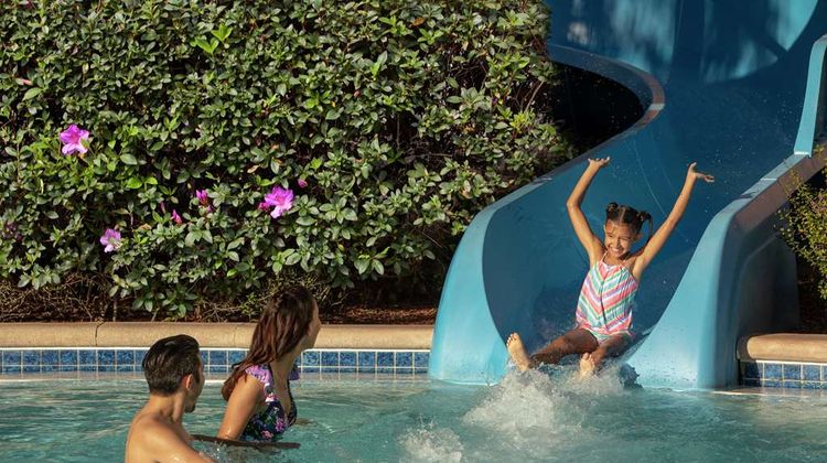 Hilton Orlando Pool