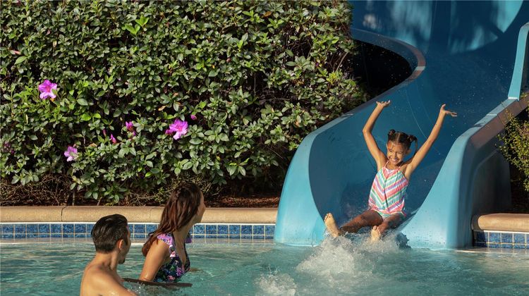 Hilton Orlando Pool