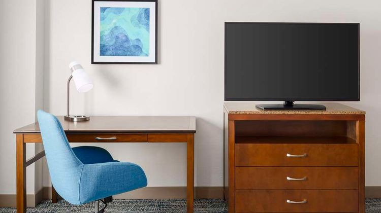 Hilton Garden Inn Orlando at SeaWorld Room