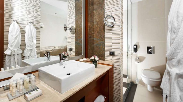 <b>Doubletree by Hilton Novosibirsk Room</b>. Images powered by <a href="https://iceportal.shijigroup.com/" title="IcePortal" target="_blank">IcePortal</a>.