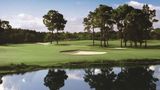 Hilton Palm Beach PBI Golf