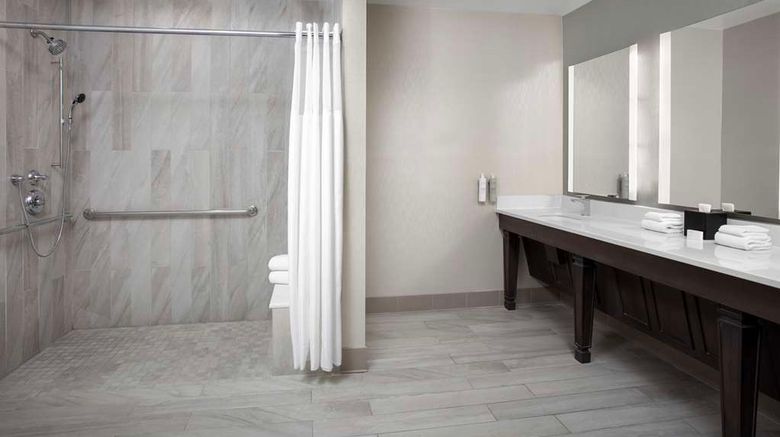 <b>Hilton Garden Inn Philadelphia/Ft. Washi Room</b>. Images powered by <a href="https://iceportal.shijigroup.com/" title="IcePortal" target="_blank">IcePortal</a>.