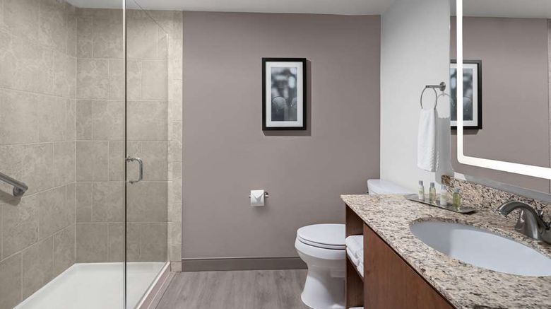 <b>the Alloy, a DoubleTree by Hilton Room</b>. Images powered by <a href="https://iceportal.shijigroup.com/" title="IcePortal" target="_blank">IcePortal</a>.