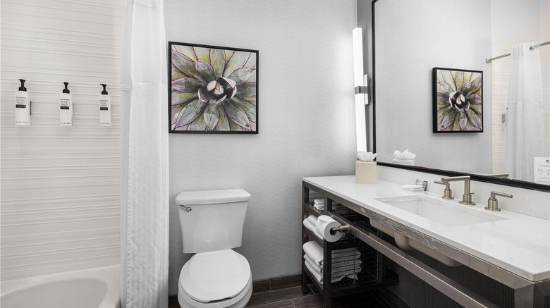 <b>Hilton Garden Inn Phoenix Airport Room</b>. Images powered by <a href="https://iceportal.shijigroup.com/" title="IcePortal" target="_blank">IcePortal</a>.