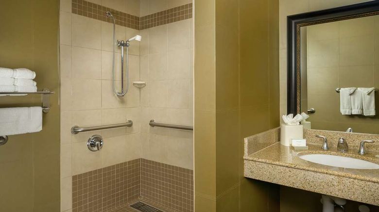 <b>Hilton Garden Inn Phoenix Airport North Room</b>. Images powered by <a href="https://iceportal.shijigroup.com/" title="IcePortal" target="_blank">IcePortal</a>.