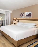 Hilton Phoenix Resort at the Peak