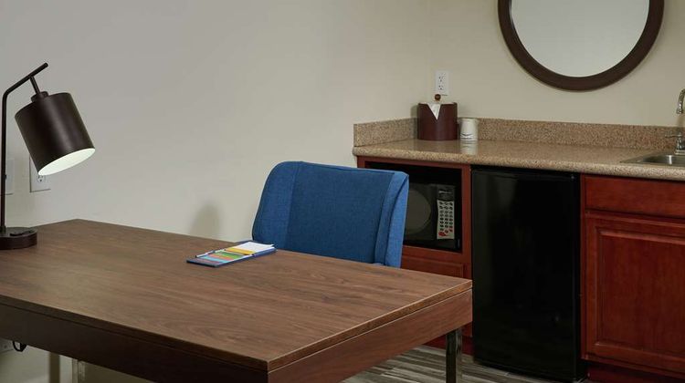 Hampton Inn & Suites Phoenix-Surprise Other