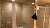 <b>Embassy Suites Room</b>. Images powered by <a href="https://iceportal.shijigroup.com/" title="IcePortal" target="_blank">IcePortal</a>.