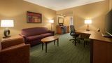 <b>Embassy Suites Room</b>. Images powered by <a href="https://iceportal.shijigroup.com/" title="IcePortal" target="_blank">IcePortal</a>.
